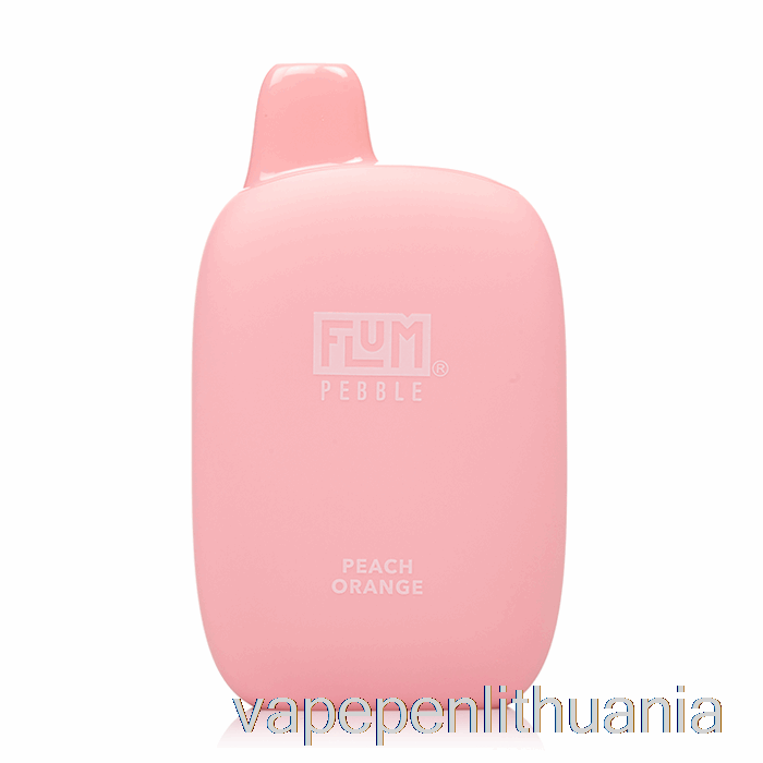 Flum Pebble 6000 Vienkartinis Persikų Apelsinų Vape Skystis